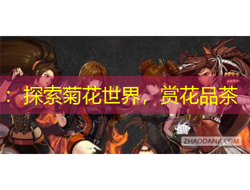 ：探索菊花世界，赏花品茶